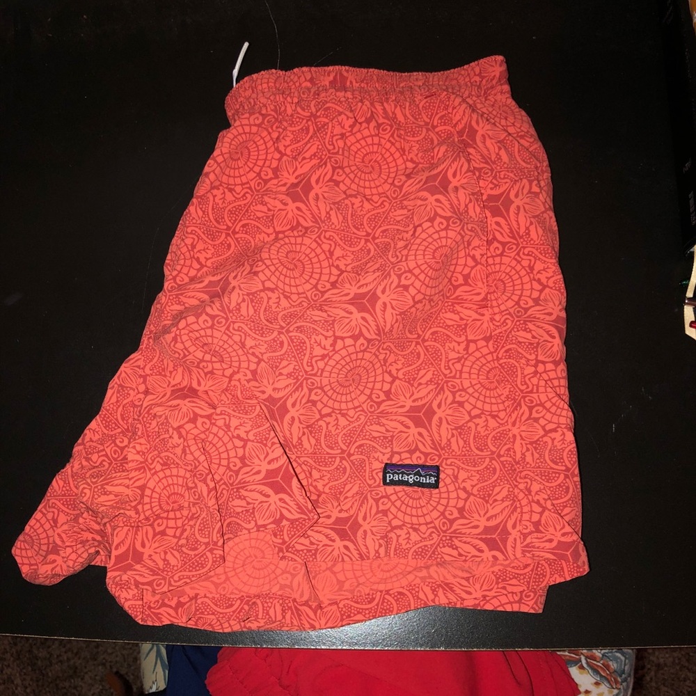 Patagonia Hiking (Baggies) Shorts